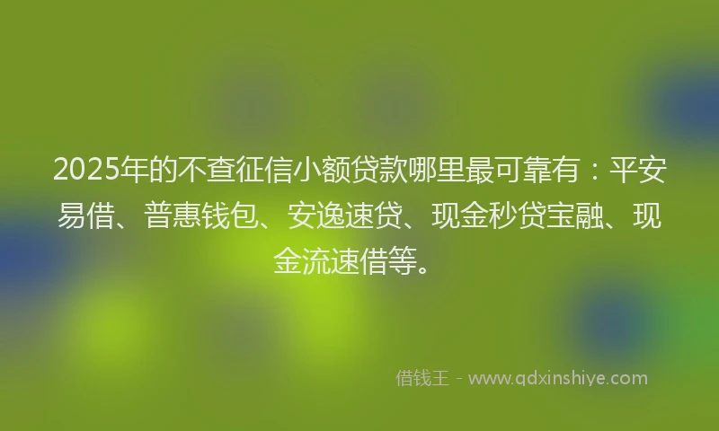 2025年的不查征信小额贷款哪里最可靠有：平安易借、普惠钱包、安逸速贷、现金秒贷宝融、现金流速借等。