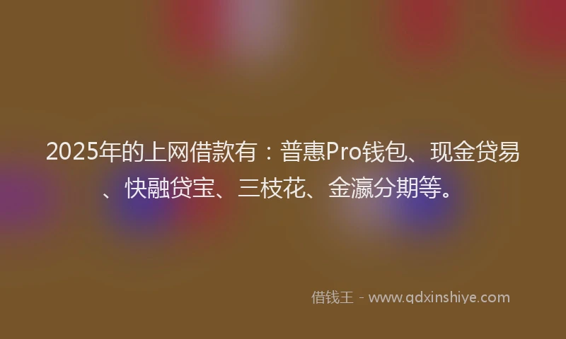 2025年的上网借款有：普惠Pro钱包、现金贷易、快融贷宝、三枝花、金瀛分期等。