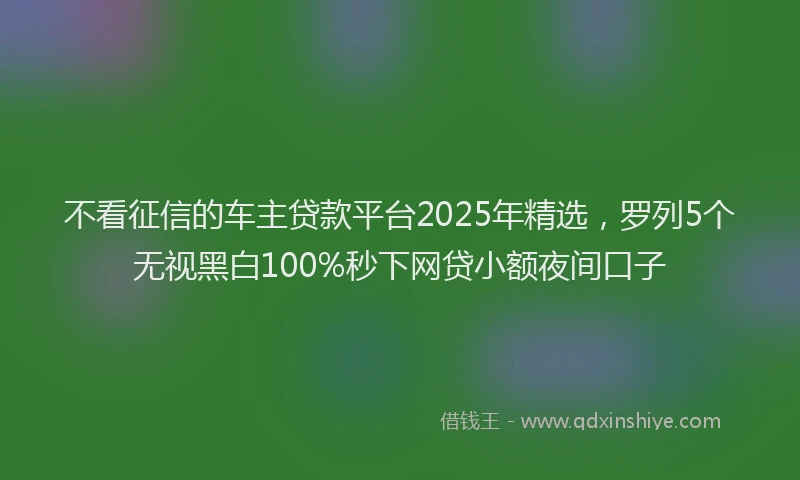 不看征信的车主贷款平台2025年精选，罗列5个无视黑白100%秒下网贷小额夜间口子