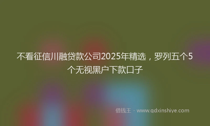 不看征信川融贷款公司2025年精选，罗列五个5个无视黑户下款口子