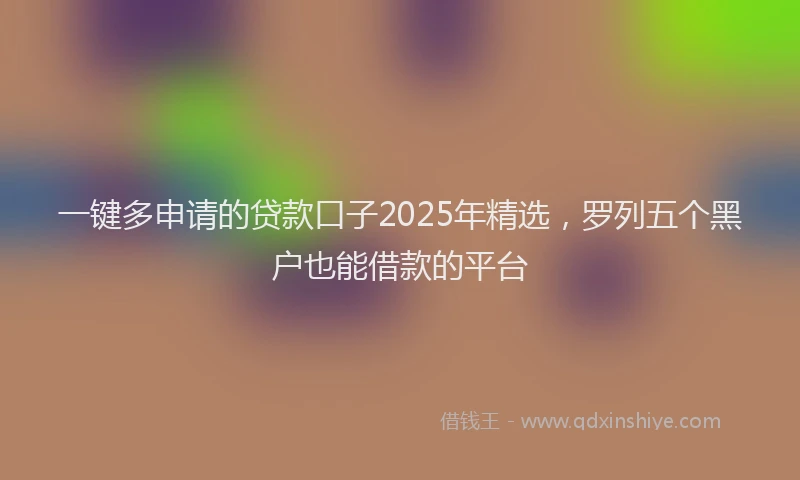 一键多申请的贷款口子2025年精选，罗列五个黑户也能借款的平台