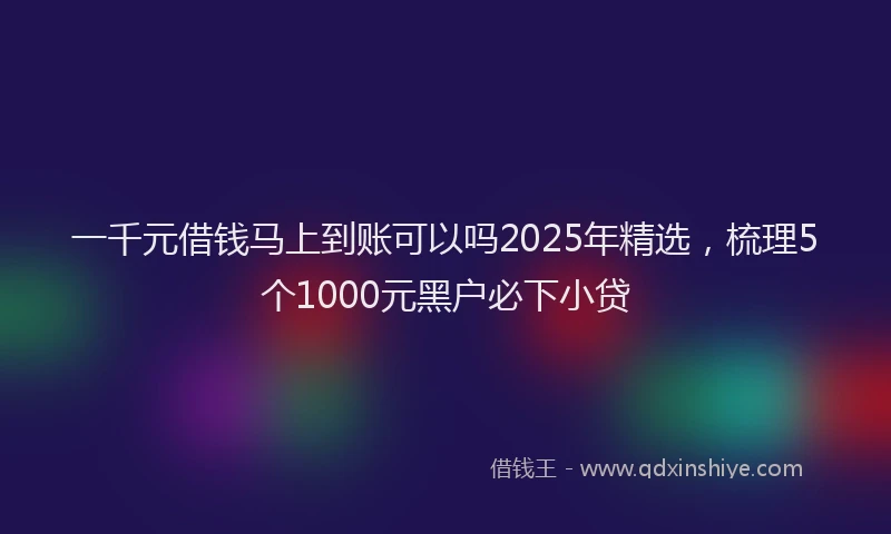一千元借钱马上到账可以吗2025年精选，梳理5个1000元黑户必下小贷