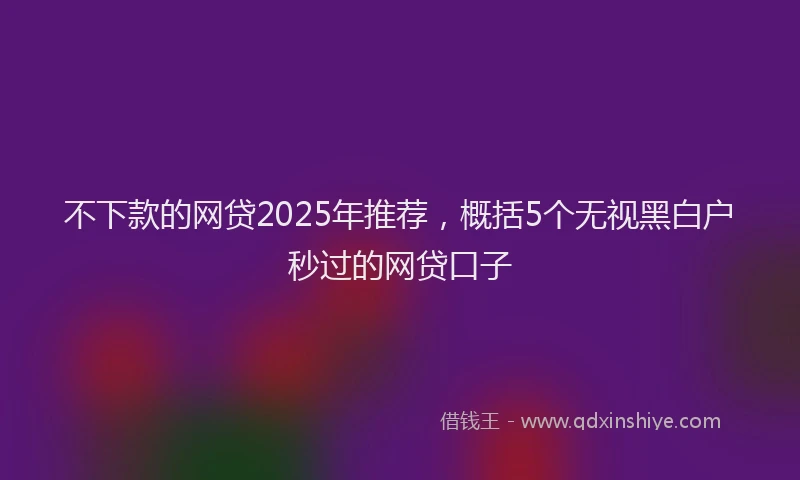 不下款的网贷2025年推荐，概括5个无视黑白户秒过的网贷口子