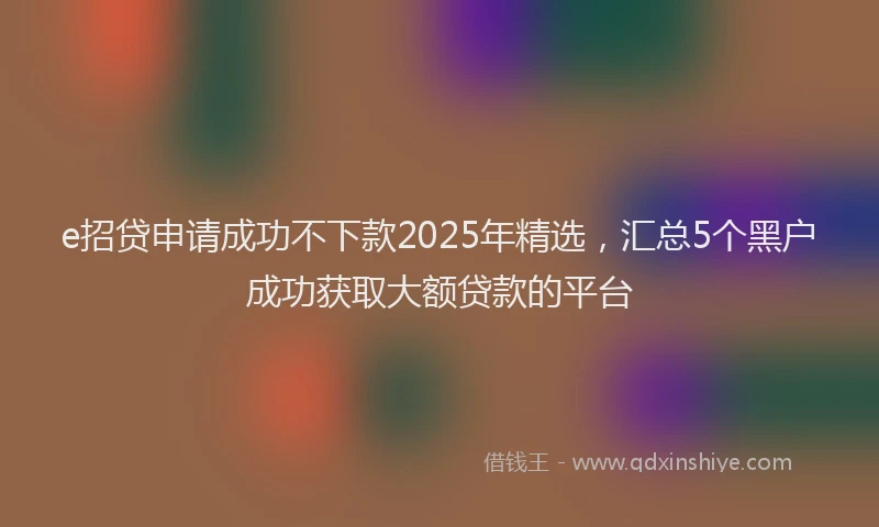 e招贷申请成功不下款2025年精选，汇总5个黑户成功获取大额贷款的平台