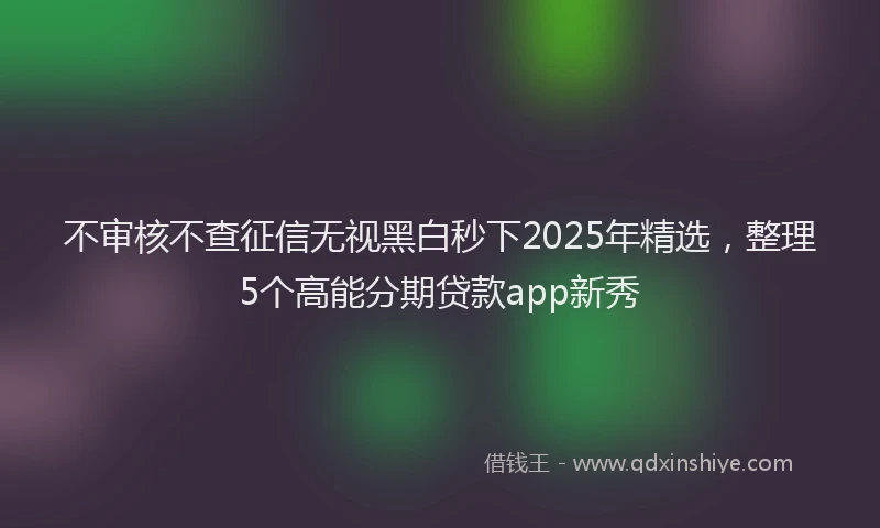 不审核不查征信无视黑白秒下2025年精选，整理5个高能分期贷款app新秀