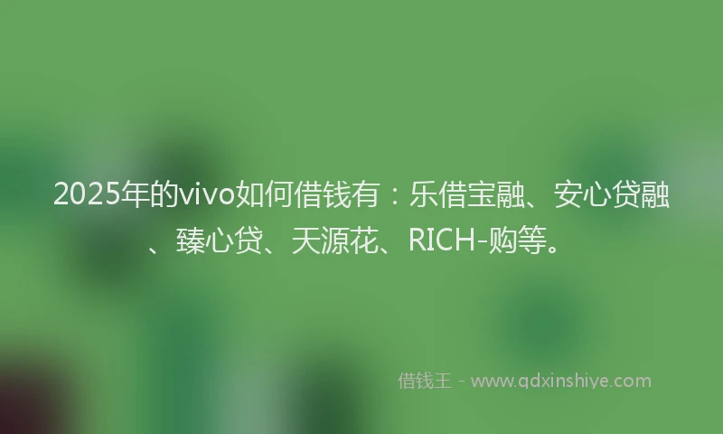 2025年的vivo如何借钱有：乐借宝融、安心贷融、臻心贷、天源花、RICH-购等。