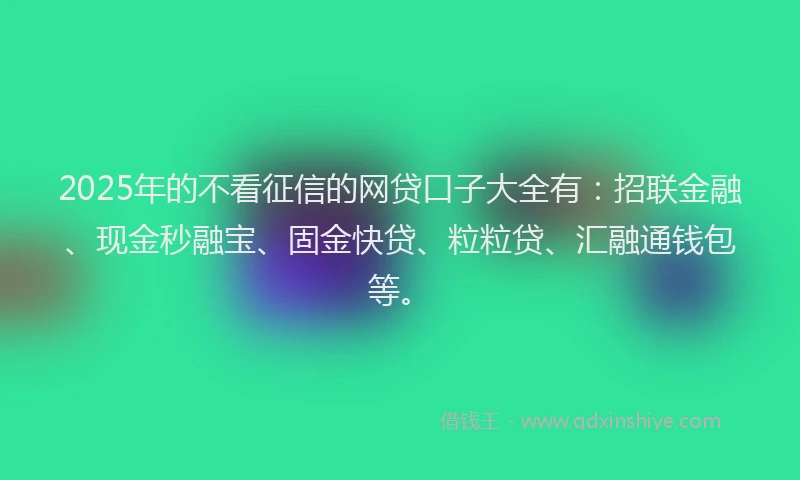 2025年的不看征信的网贷口子大全有：招联金融、现金秒融宝、固金快贷、粒粒贷、汇融通钱包等。