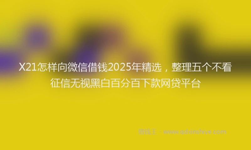 X21怎样向微信借钱2025年精选，整理五个不看征信无视黑白百分百下款网贷平台