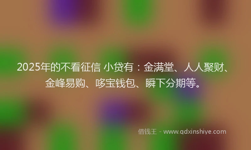 2025年的不看征信 小贷有：金满堂、人人聚财、金峰易购、哆宝钱包、瞬下分期等。