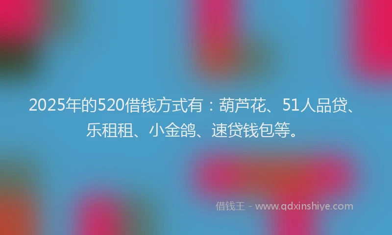 2025年的520借钱方式有：葫芦花、51人品贷、乐租租、小金鸽、速贷钱包等。