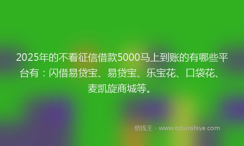 2025年的不看征信借款5000马上到账的有哪些平台有：闪借易贷宝、易贷宝、乐宝花、口袋花、麦凯旋商城等。