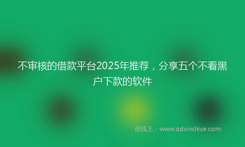 不审核的借款平台2025年推荐，分享五个不看黑户下款的软件