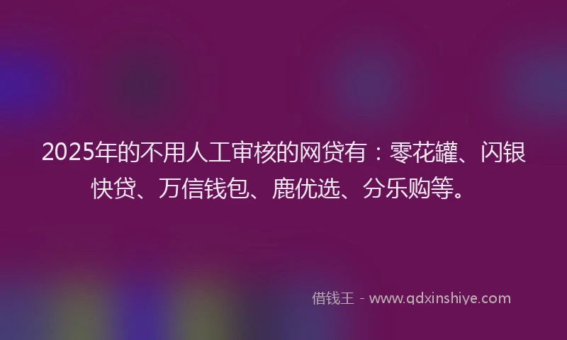 2025年的不用人工审核的网贷有：零花罐、闪银快贷、万信钱包、鹿优选、分乐购等。