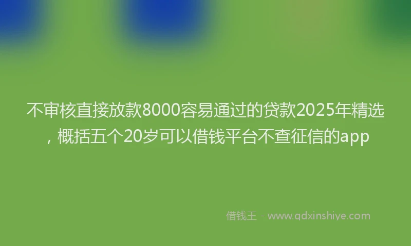 不审核直接放款8000容易通过的贷款2025年精选，概括五个20岁可以借钱平台不查征信的app
