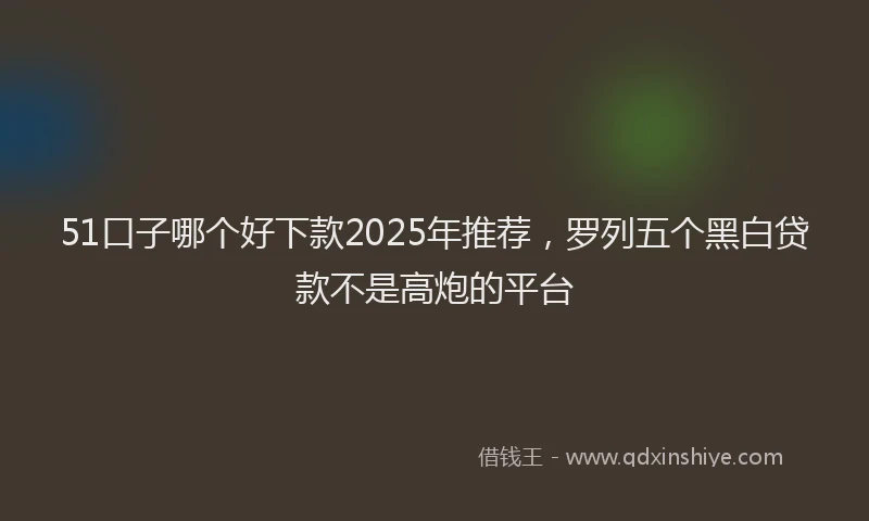 51口子哪个好下款2025年推荐，罗列五个黑白贷款不是高炮的平台