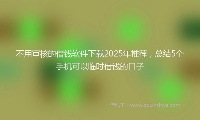 不用审核的借钱软件下载2025年推荐，总结5个手机可以临时借钱的口子