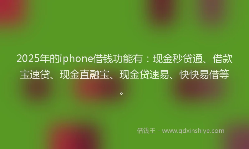 2025年的iphone借钱功能有：现金秒贷通、借款宝速贷、现金直融宝、现金贷速易、快快易借等。