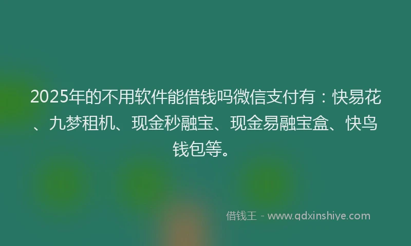 2025年的不用软件能借钱吗微信支付有：快易花、九梦租机、现金秒融宝、现金易融宝盒、快鸟钱包等。