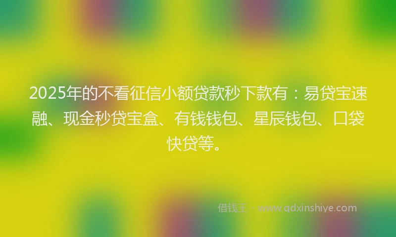 2025年的不看征信小额贷款秒下款有：易贷宝速融、现金秒贷宝盒、有钱钱包、星辰钱包、口袋快贷等。