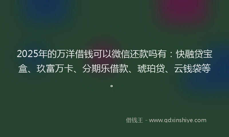 2025年的万洋借钱可以微信还款吗有：快融贷宝盒、玖富万卡、分期乐借款、琥珀贷、云钱袋等。