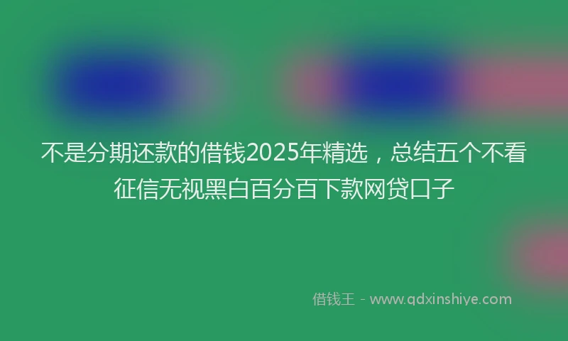不是分期还款的借钱2025年精选，总结五个不看征信无视黑白百分百下款网贷口子
