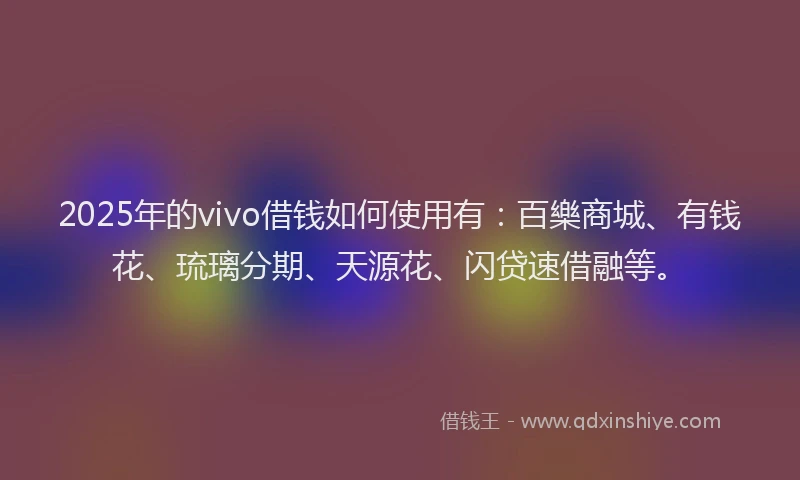 2025年的vivo借钱如何使用有：百樂商城、有钱花、琉璃分期、天源花、闪贷速借融等。