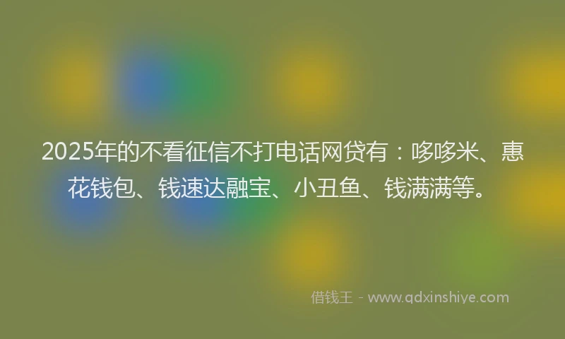 2025年的不看征信不打电话网贷有：哆哆米、惠花钱包、钱速达融宝、小丑鱼、钱满满等。