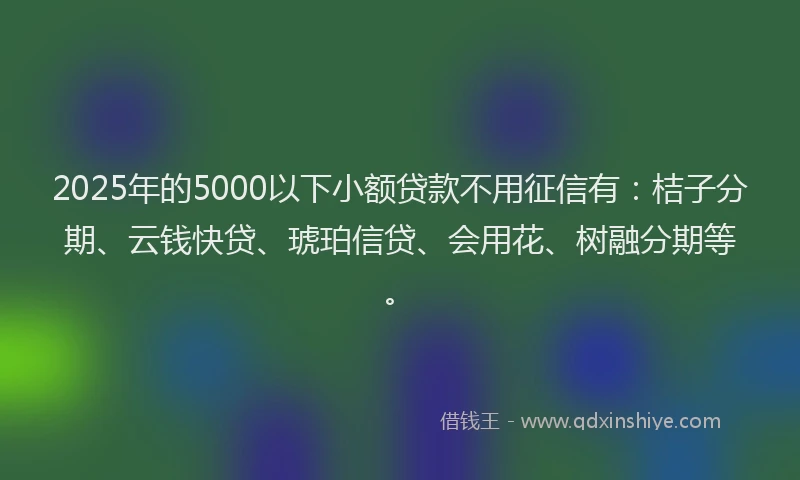 2025年的5000以下小额贷款不用征信有：桔子分期、云钱快贷、琥珀信贷、会用花、树融分期等。