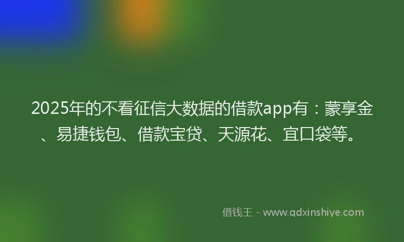 2025年的不看征信大数据的借款app有：蒙享金、易捷钱包、借款宝贷、天源花、宜口袋等。