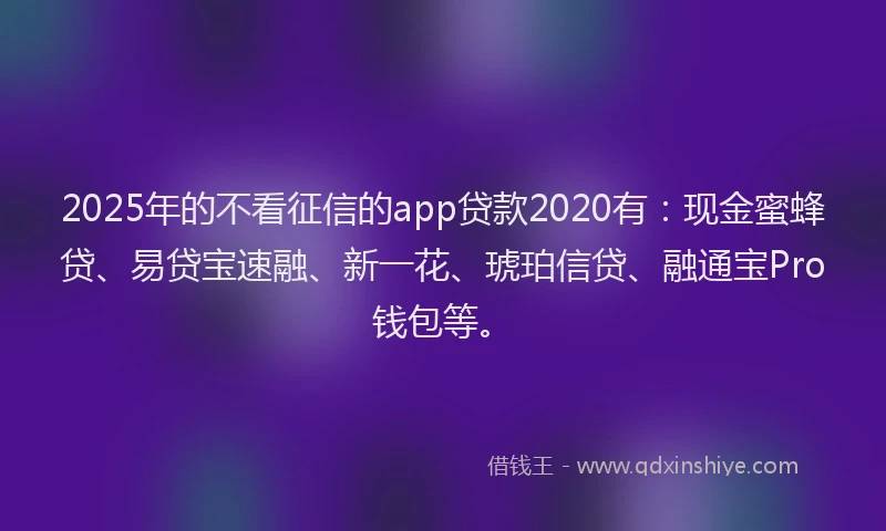 2025年的不看征信的app贷款2020有：现金蜜蜂贷、易贷宝速融、新一花、琥珀信贷、融通宝Pro钱包等。