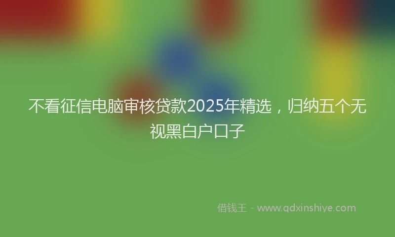 不看征信电脑审核贷款2025年精选，归纳五个无视黑白户口子