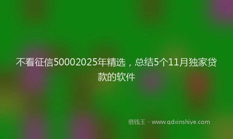 不看征信50002025年精选，总结5个11月独家贷款的软件