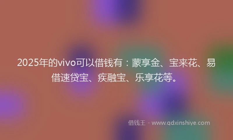 2025年的vivo可以借钱有：蒙享金、宝来花、易借速贷宝、疾融宝、乐享花等。