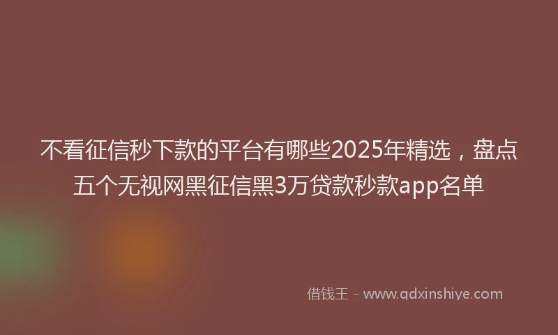 不看征信秒下款的平台有哪些2025年精选，盘点五个无视网黑征信黑3万贷款秒款app名单