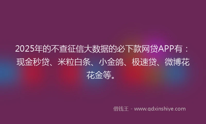 2025年的不查征信大数据的必下款网贷APP有：现金秒贷、米粒白条、小金鸽、极速贷、微博花花金等。