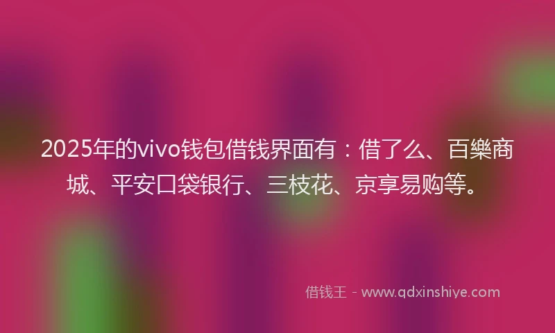 2025年的vivo钱包借钱界面有：借了么、百樂商城、平安口袋银行、三枝花、京享易购等。