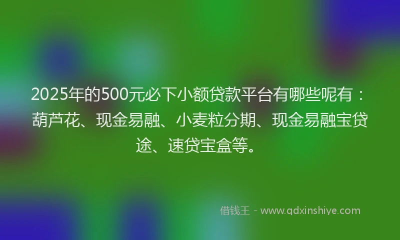 2025年的500元必下小额贷款平台有哪些呢有：葫芦花、现金易融、小麦粒分期、现金易融宝贷途、速贷宝盒等。