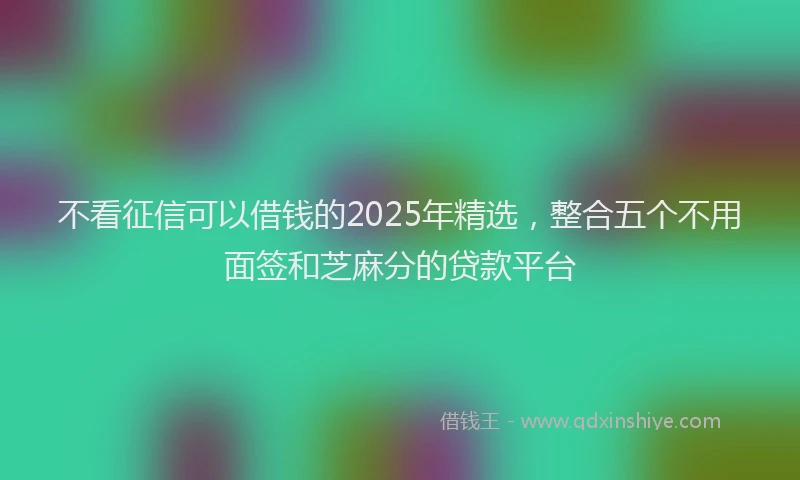 不看征信可以借钱的2025年精选，整合五个不用面签和芝麻分的贷款平台