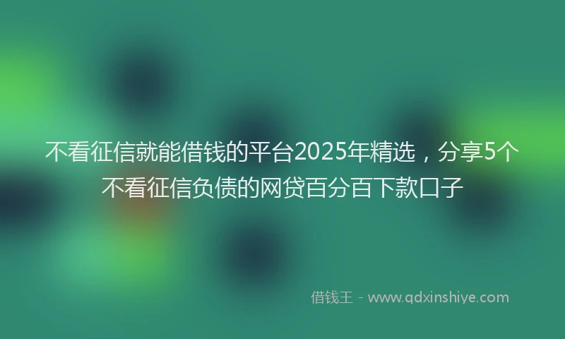 不看征信就能借钱的平台2025年精选，分享5个不看征信负债的网贷百分百下款口子