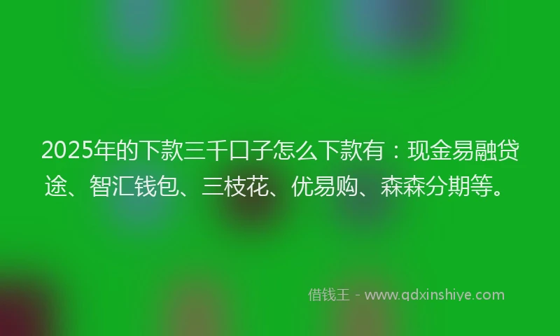 2025年的下款三千口子怎么下款有：现金易融贷途、智汇钱包、三枝花、优易购、森森分期等。