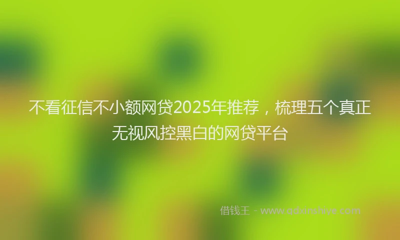 不看征信不小额网贷2025年推荐，梳理五个真正无视风控黑白的网贷平台