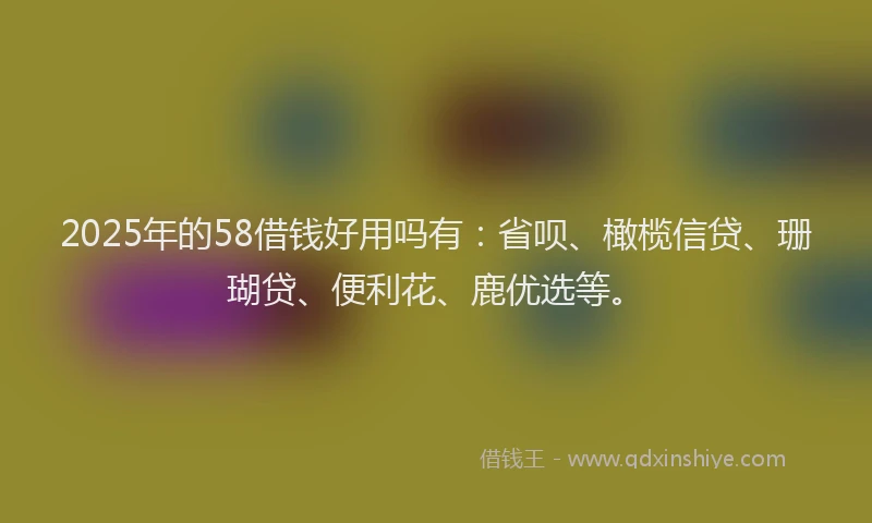 2025年的58借钱好用吗有：省呗、橄榄信贷、珊瑚贷、便利花、鹿优选等。