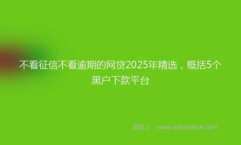 不看征信不看逾期的网贷2025年精选，概括5个黑户下款平台