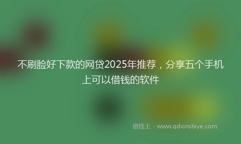 不刷脸好下款的网贷2025年推荐，分享五个手机上可以借钱的软件
