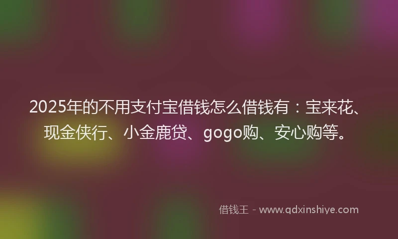 2025年的不用支付宝借钱怎么借钱有：宝来花、现金侠行、小金鹿贷、gogo购、安心购等。