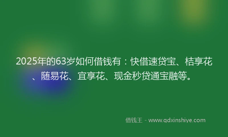 2025年的63岁如何借钱有：快借速贷宝、桔享花、随易花、宜享花、现金秒贷通宝融等。