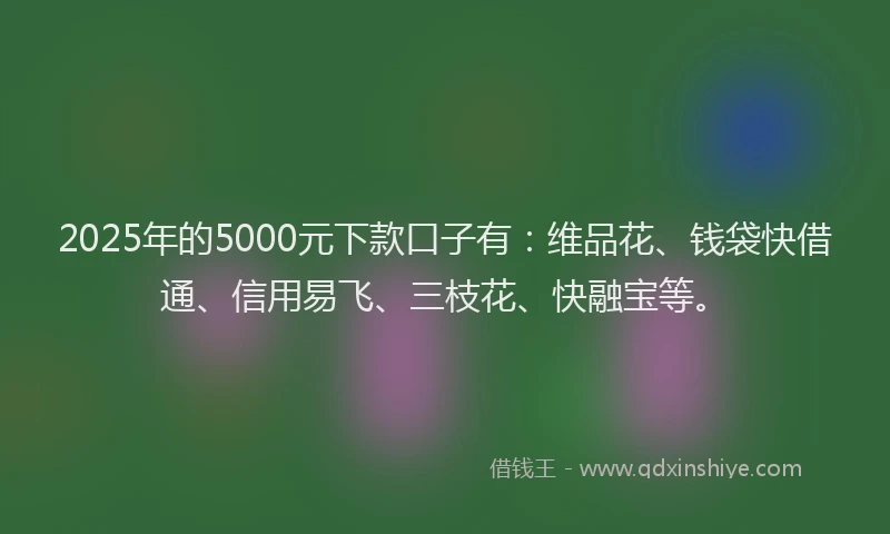2025年的5000元下款口子有：维品花、钱袋快借通、信用易飞、三枝花、快融宝等。