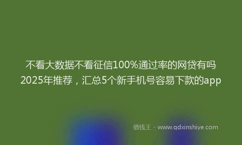 不看大数据不看征信100%通过率的网贷有吗2025年推荐，汇总5个新手机号容易下款的app