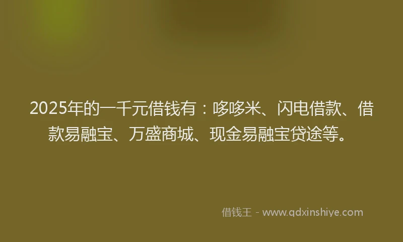 2025年的一千元借钱有：哆哆米、闪电借款、借款易融宝、万盛商城、现金易融宝贷途等。