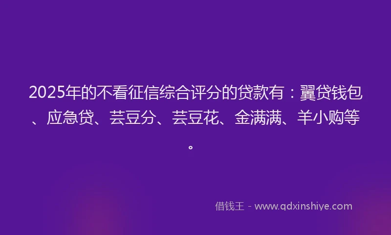 2025年的不看征信综合评分的贷款有：翼贷钱包、应急贷、芸豆分、芸豆花、金满满、羊小购等。
